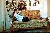 0037_0004.jpg