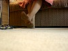 0183_0760.jpg