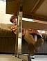 0183_0771.jpg