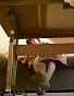 0183_0772.jpg