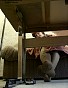 0183_0773.jpg
