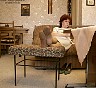 0183_0782.jpg