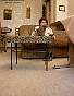 0183_0802.jpg