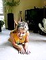0227_0207.jpg