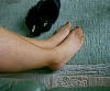 0236_0125.jpg