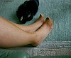 0236_0130.jpg