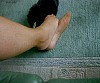 0236_0142.jpg