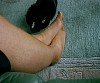 0236_0161.jpg