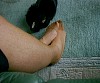 0236_0163.jpg