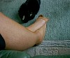 0236_0166.jpg