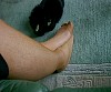 0236_0167.jpg