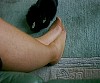 0236_0169.jpg