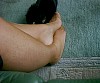 0236_0171.jpg