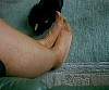 0236_0176.jpg