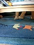 0288_0622.jpg