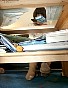 0288_0625.jpg