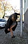 0330_1174.jpg