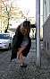 0330_1175.jpg