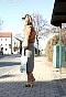 0330_1324.jpg