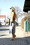 0330_1328.jpg