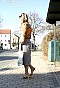 0330_1332.jpg