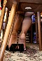 0340_0855.jpg