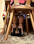 Junge Frauen in Feinstrumpfhosen 865
