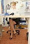 0345_0110.jpg