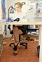 0345_0114.jpg