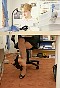 0345_0117.jpg