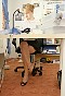 0345_0118.jpg