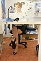 0345_0121.jpg