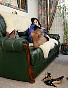0356_0984.jpg