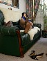 0356_0986.jpg