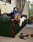 0356_1001.jpg