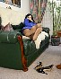 0356_1006.jpg