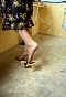 0368_1188.jpg