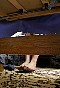 0372_0391.jpg