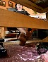 0381_0251.jpg