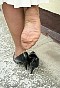 0381_0909.jpg