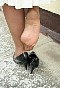 0381_0911.jpg