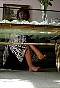 0398_1074.jpg