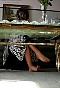 0398_1102.jpg