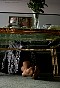 0398_1194.jpg