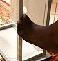 0418_0570.jpg
