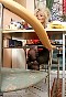 0418_0585.jpg