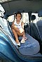 0424_0081.jpg