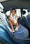 0424_0082.jpg