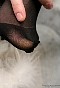 0428_0119.jpg