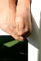 0439_0486.jpg